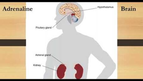 Fear of Vomiting: Part 1